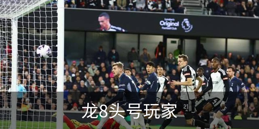 龙8头号玩家介绍